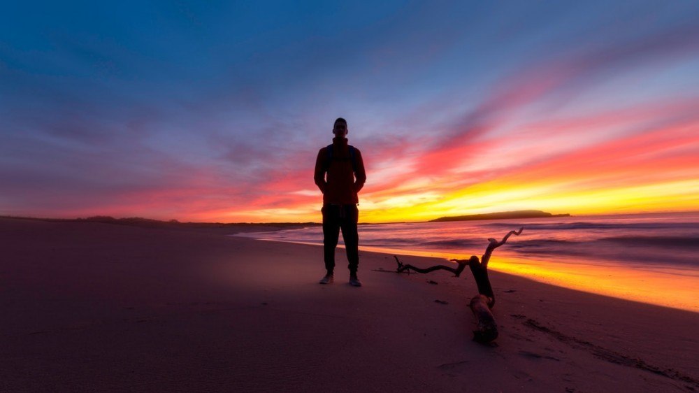 Best Jobs For Introverts Without A Degree - The Hunt For Fulfillment