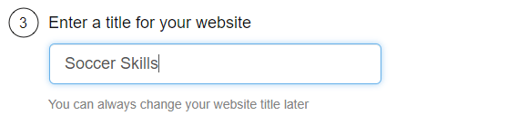 enter your domain title website