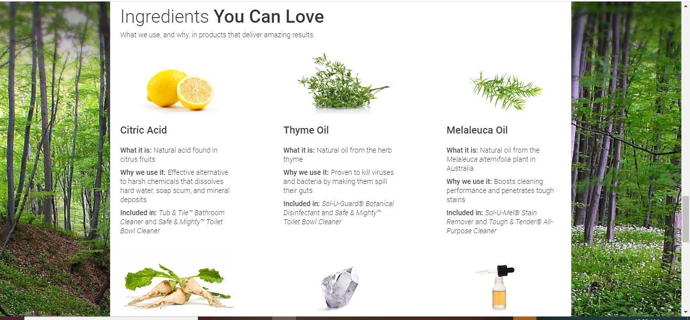 Melaleuca ingredients
