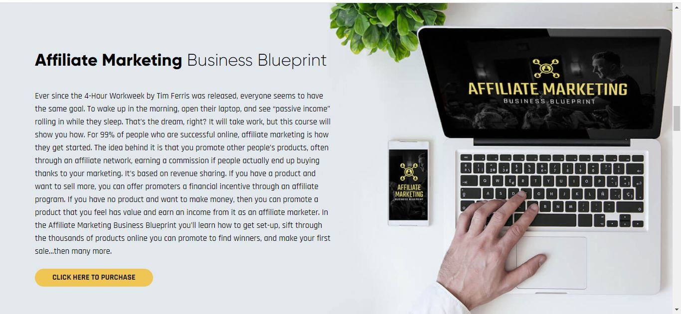affiliate marketing business blueprint