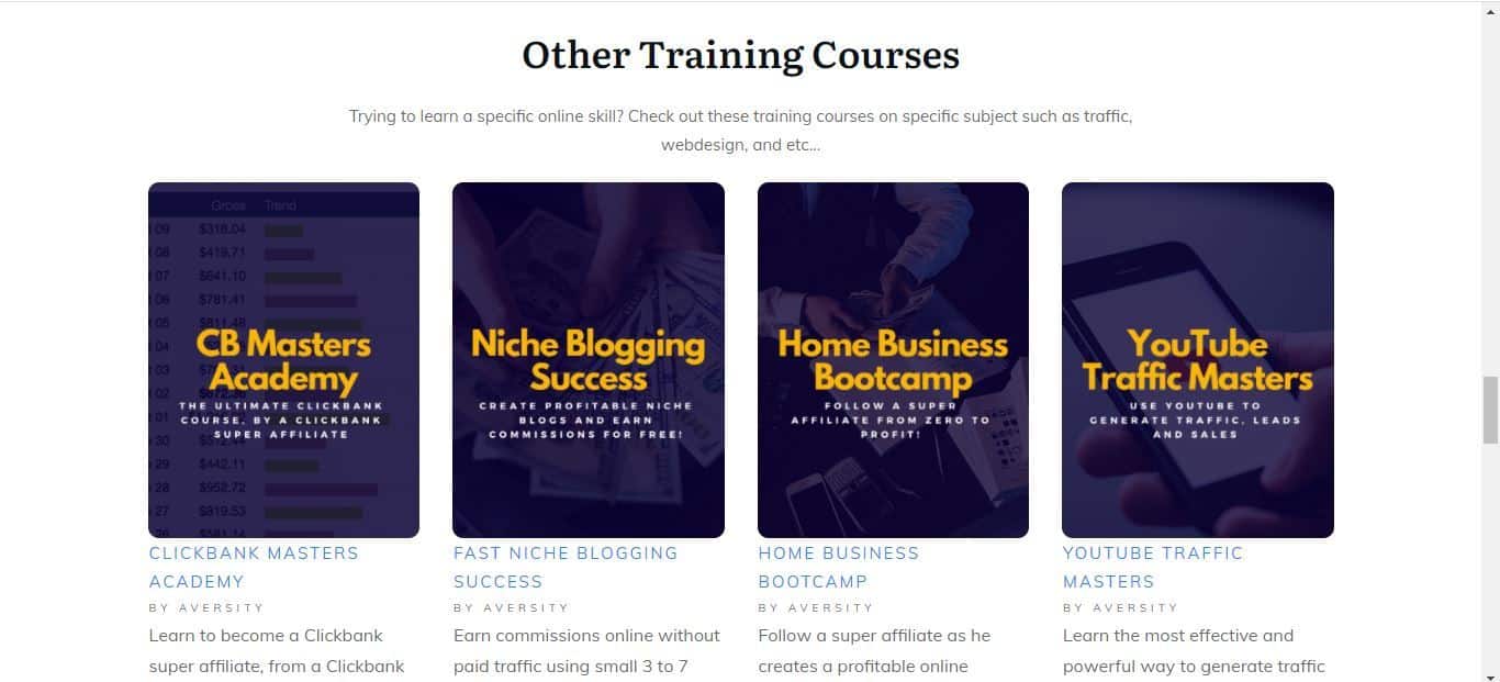 aversity training courses