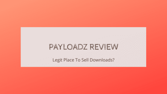 PayLoadz Review Reveals Shocking Truths! (2025) - Unreal